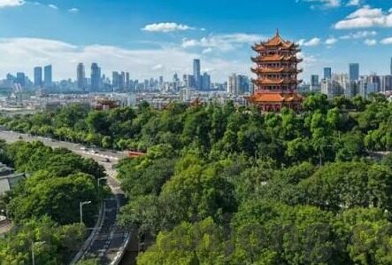 188足球足球即时比分-188足球即时比分，足球迷的实时信息港湾
